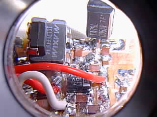 �o�C�A�X��H�t��